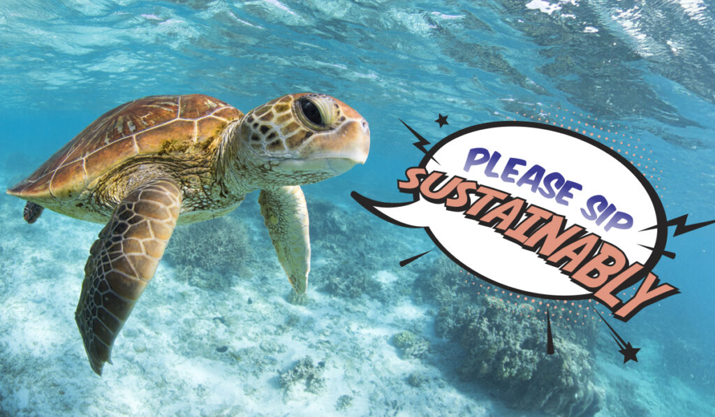 Sea turtle in clear ocean water with a speech buble that says, 